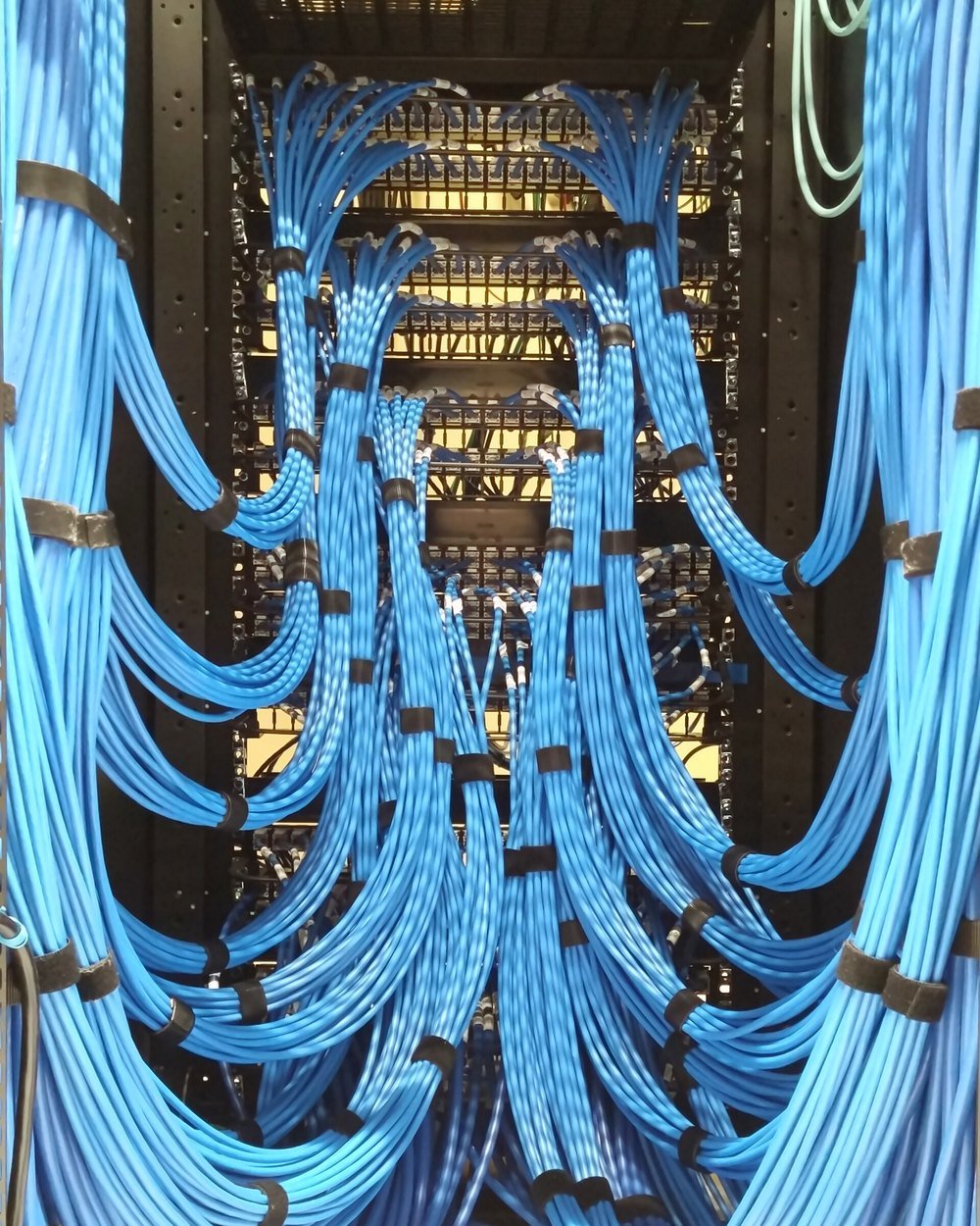 Bundles of blue network cable dressed neatly into a patch panel inside a rack