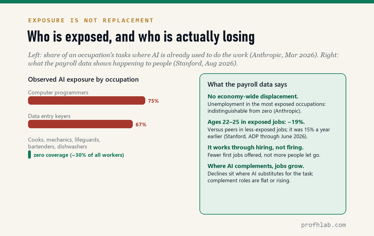 Chart comparing observed AI exposure by occupation with what payroll data shows: no economy-wide displacement, a 19 percent gap for young workers in exposed jobs