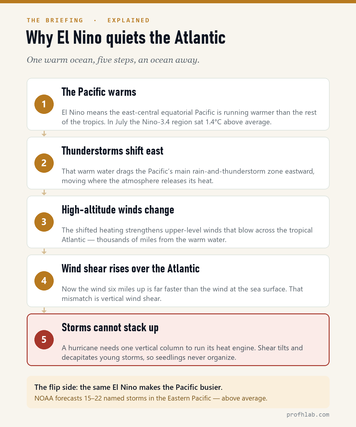Five-step diagram showing how El Nino quiets the Atlantic: the Pacific warms, thunderstorms shift east, high-altitude winds change, wind shear rises over the Atlantic, and storms cannot stack up.