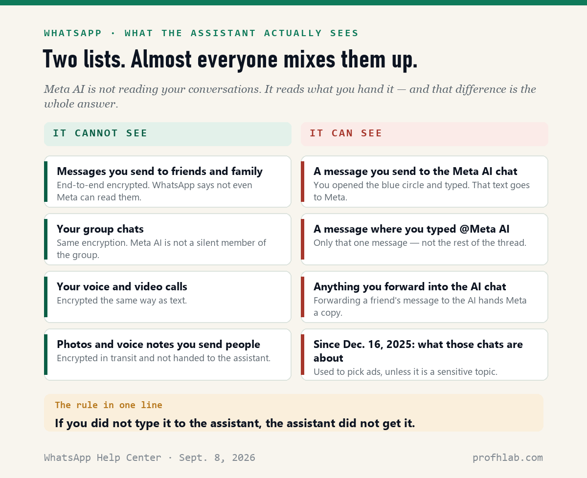 Two lists: what Meta AI cannot see on WhatsApp versus what it can see