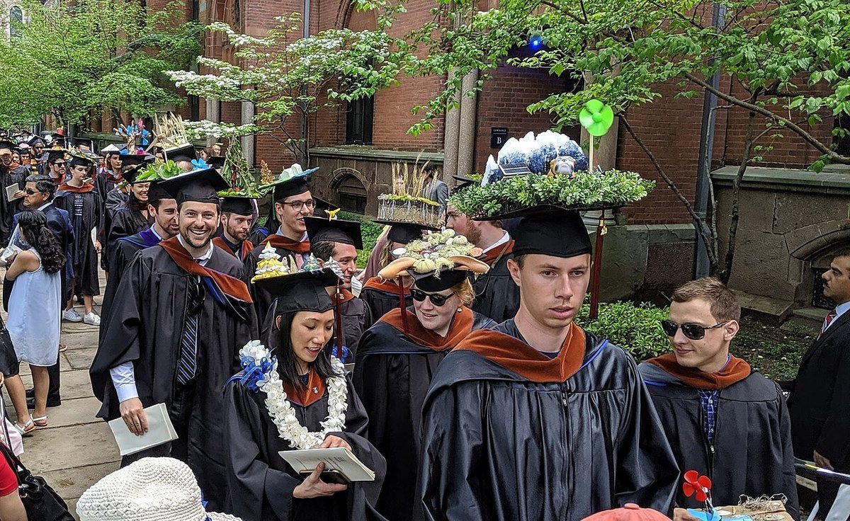 Graduates in black gowns and caps decorated with plants walking in a campus procession