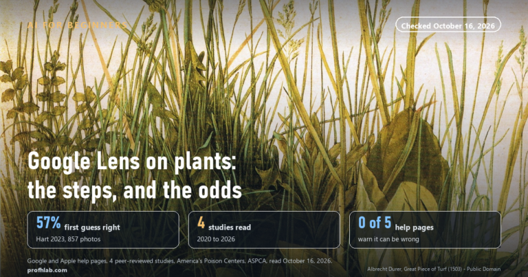 How to Use Google Lens to Identify Plants: The Steps, and What 4 Studies Found