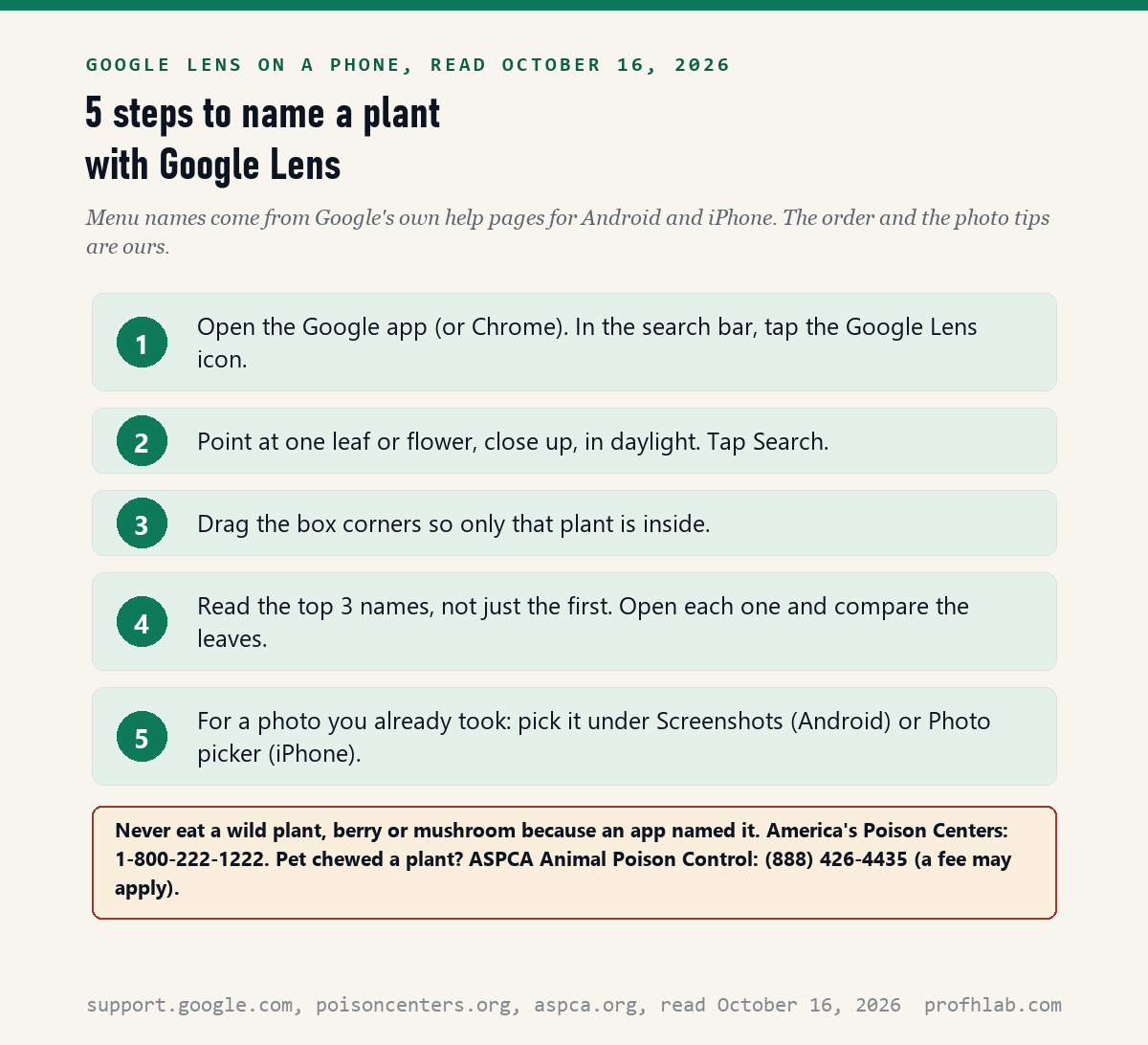 Five numbered steps for naming a plant with Google Lens, with a red-bordered warning box giving the Poison Help number 1-800-222-1222 and the ASPCA number