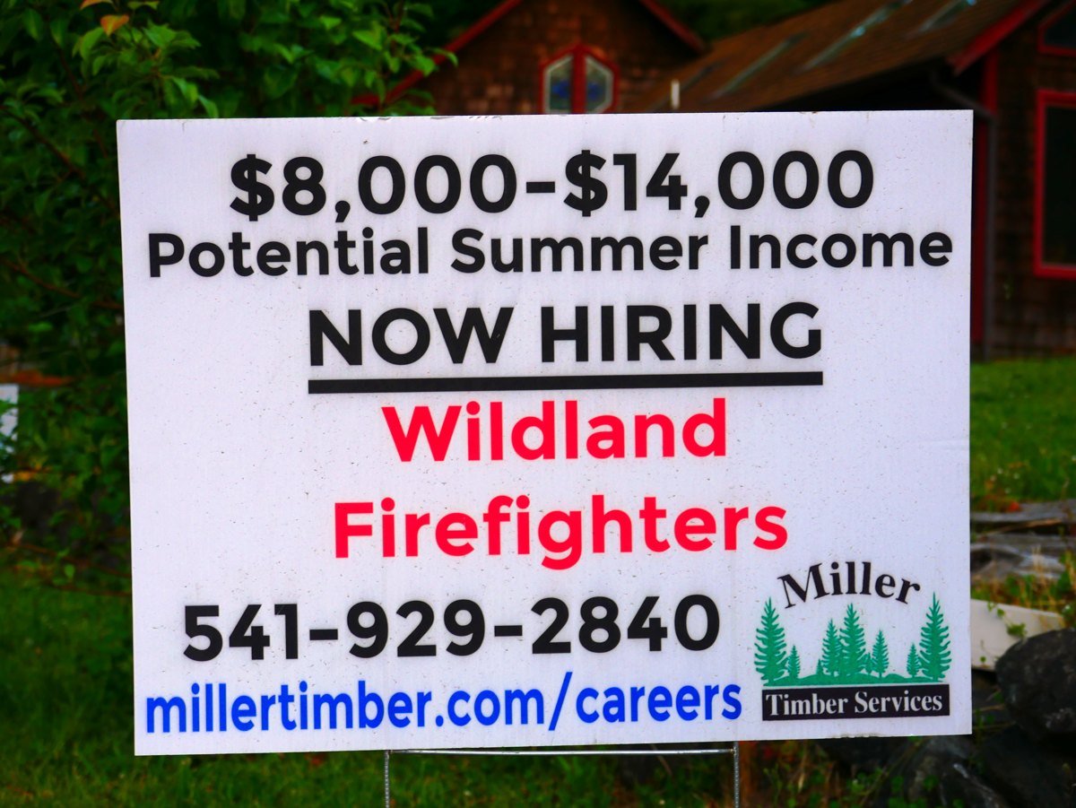 A white yard sign on green grass that reads 8,000 to 14,000 dollars potential summer income, Now Hiring Wildland Firefighters, with a phone number and a careers web address for Miller Timber Services.