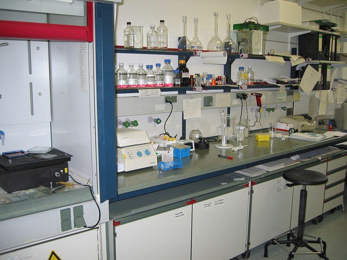An empty university biochemistry lab bench with glassware, bottles and instruments on open shelves