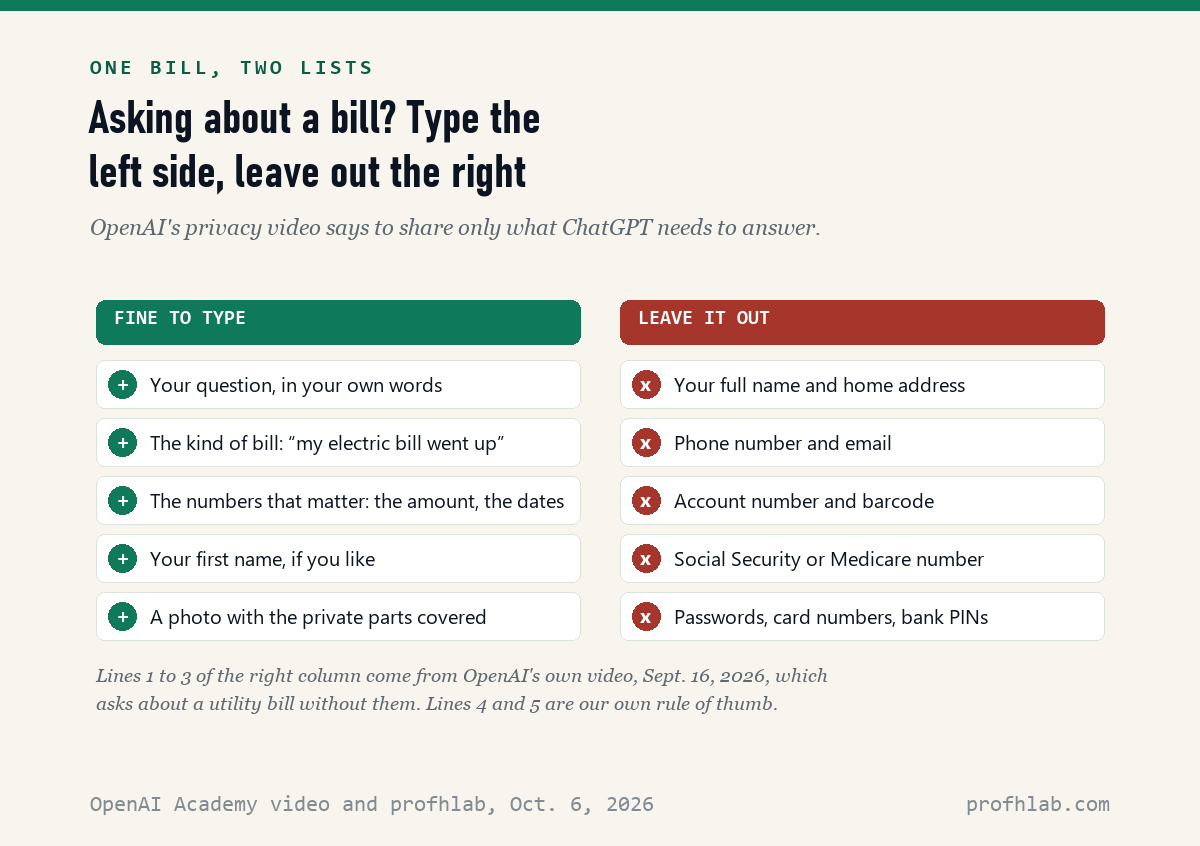 Two lists: fine to type, such as your question and the bill amount; leave out, such as your full name, address, account number and Social Security number